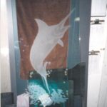 Glass Shower Door